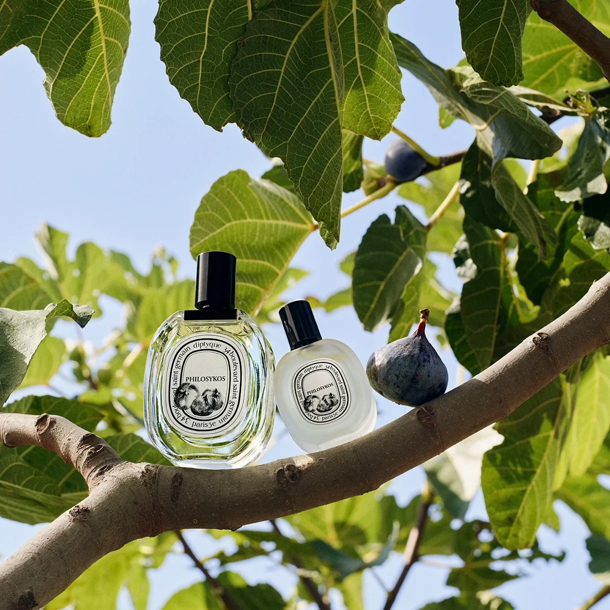Diptyque Philosykos